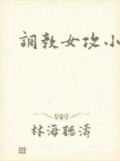 调教女攻小说