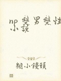 np 双男双性小说