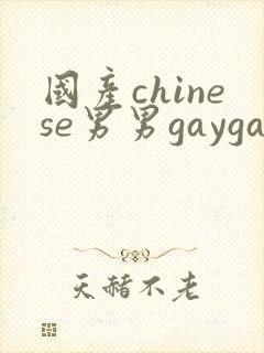 国产chinese男男gaygay免费视频