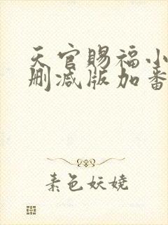 天官赐福小说未删减版加番外封面