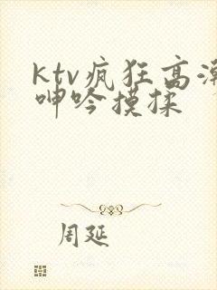 ktv疯狂高潮呻吟摸揉