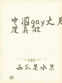 中国gay大尺度真做