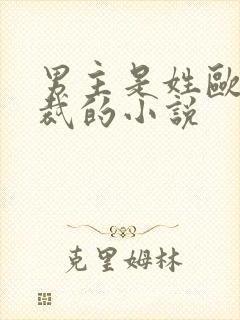 男主是姓欧的总裁的小说封面