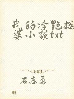 我的冷艳总裁老婆小说txt