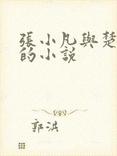 张小凡与楚清璇的小说