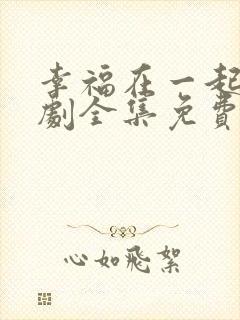 幸福在一起电视剧全集免费观看
