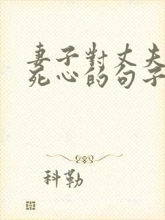 妻子对丈夫彻底死心的句子