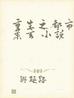 重生之都市仙尊叶玄 小说