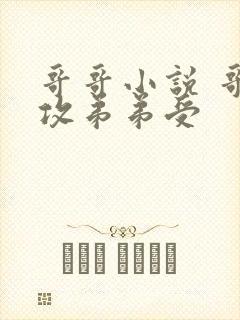 哥哥小说 哥哥攻弟弟受