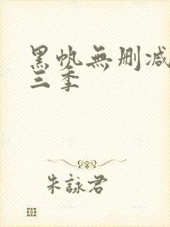 黑帆无删减版第三季