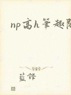 np高h笔趣阁