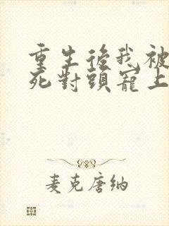 重生后我被渣男死对头宠上天.