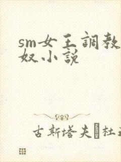 sm女王调教狗奴小说封面
