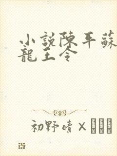 小说陈平苏雨琪龙王令