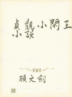 贞观小闲王李慎小说