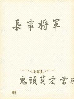 长宁将军封面