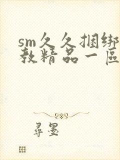 sm久久捆绑调教精品一区