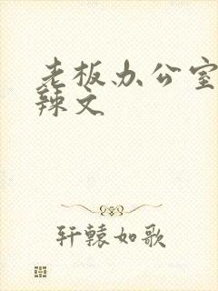 老板办公室系列辣文