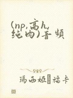(np,高h,纯肉)音频