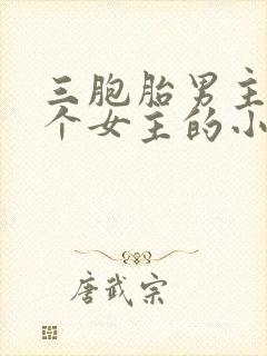 三胞胎男主和一个女主的小说