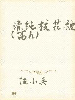 清纯校花被调教(高h)