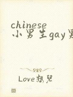 chinese小男生gay男男网站封面