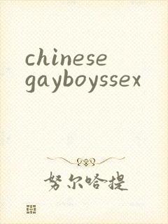 chinesegayboyssex