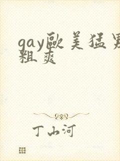 gay欧美猛男粗爽