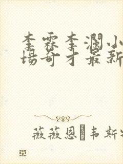 李霖李澜小说官场奇才最新更新