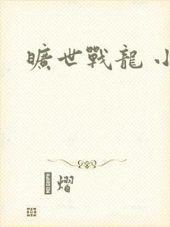 旷世战龙 小说封面