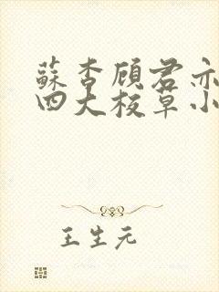 苏杳顾君亦国防四大校草小说免费阅读109封面