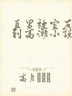 直男被室友调教到高潮小说