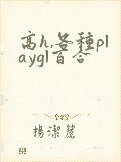 高h,各种playgl百合