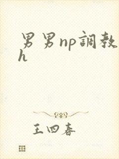 男男np调教高h