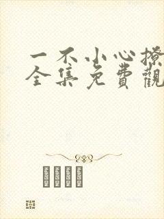 一不小心撩错人全集免费观看短剧封面