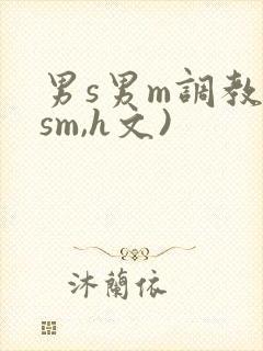 男s男m调教(sm,h文)