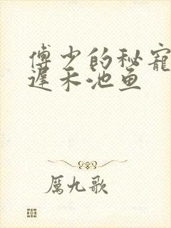 傅少的秘宠娇妻迟禾池鱼