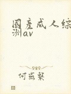 国产成人综合亚洲av