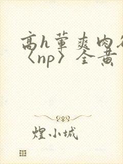 高h荤爽肉欲文〈np〉全黄