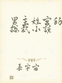 男主姓宫的现代总裁小说