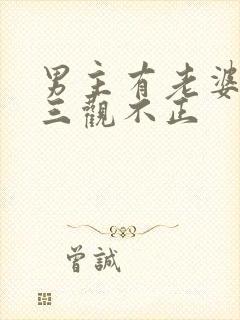 男主有老婆出轨三观不正