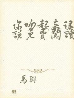 你吻起来很甜小说免费阅读封面