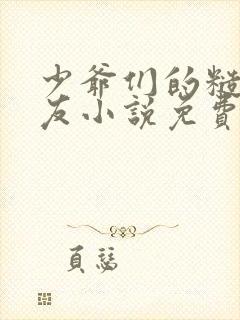 少爷们的糙汉室友小说免费阅读封面