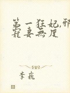 第一狂妃,邪王宠妻无度