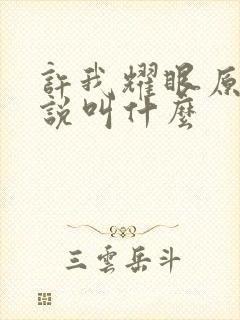 许我耀眼原著小说叫什么