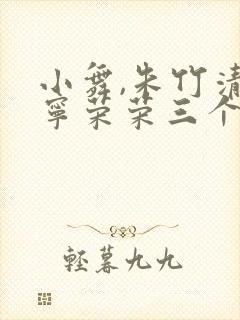小舞,朱竹清,宁荣荣三个人的小说封面