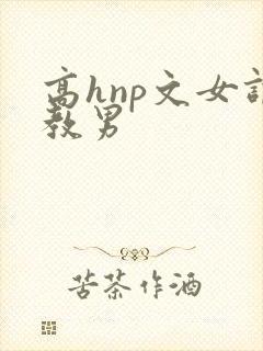 高hnp文女调教男