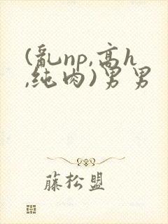 (乱np,高h,纯肉)男男