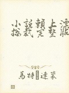 小说赖上漂亮女总裁完整版