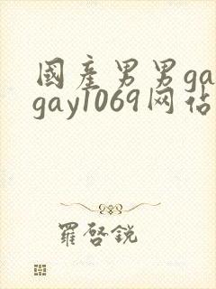国产男男gaygay1069网站封面